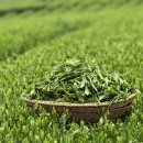 자성한의원 이미지