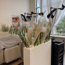 만석로5번길 | [천천동 미용실] 수원 화사헤어룸 혜지 디자이너님 톤다운 염색 후기 / 미친 컬러감..✨