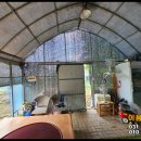 진두루농장 이미지