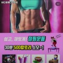 바디점핑다이어트 이미지