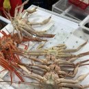 동광어시장 이미지