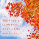 11월 행복한 나날 되세요 이미지