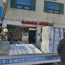 여주댁꽃돼지