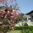 엄광산임도 이미지