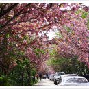 문수사 주차장 이미지