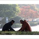 멍군이네