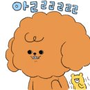 블루버니 이미지