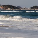 빨간바다 이미지