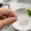 일송횟집(일송초밥) 이미지