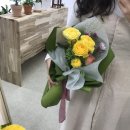 오늘도봄플라워