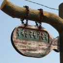 추자오토랜드 네이버블로그