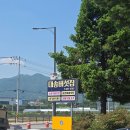 대송 | 이천 버섯으로 해장하는 [대송버섯집] 버섯매운탕 후기 ! !