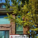 레드쭈
