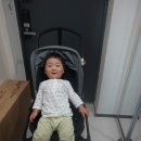 +467 15개월 오가닉맘 내복110사이즈/형아같은 장군이/호키포키댄스/광성초등학교산책