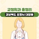 새론치과의원 | 경상북도 포항시 대잠동 교정치과 총정리