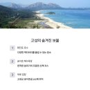 감성 이미지