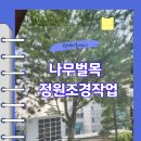 옥상나무벌목 가지치기 정원조경