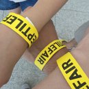 앙코르 | 국내 최대 규모 거북·파충류 축제! 2026 렙타일페어 일산 킨텍스 앙코르 방문 후기