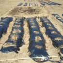 연우네 농장 이미지