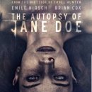 신비돌스 랙돌 캐터리 이미지