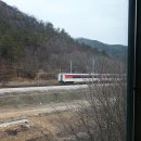화산붕어찜 이미지