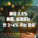 배당만 보면 손해보는 이유 - 애플이 10년간 주식 37% 줄인 진짜 비밀