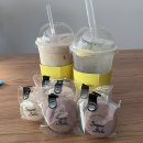 카페콩냥(CAFE,콩냥)