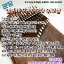 작은 엄지 피아노 칼림바 이미지