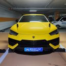 다온약품 | 용호동 디테일링세차 출장세차다온 람보르기니 우르스 맡긴 후기