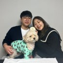 댕댕잇제과점 이미지