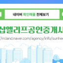 써니공인중개사사무소 네이버블로그