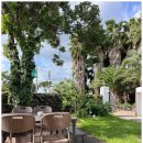 미도리제주 민박 이미지