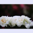 곡성-054 티스토리
