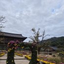 옛숨결 | #보은일주일살기 #3부🍂 보은의 숨결을 따라 — 사찰과 산성, 마지막 하루 🌳