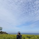 (주)한국바이오정보 | 제주 여행 4월날씨 | 대한항공 제주항공 바이오 정보 등록