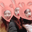카페점보코코