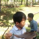 꿈나래유치원 이미지