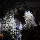 신기지 | 3살 6살 남매 삼촌 결혼식 화동 후기｜23개월 둘째까지 성공한 리얼 육아 후기