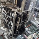 몽키개러지 이미지