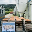 나산경로당 이미지