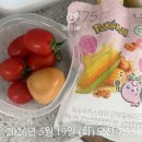 (주)임동 | 임동헬스장 PT후기 [여성 회원님 12주 체지방 감량 사례]