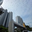 강남-114 이미지