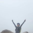 곰배령화원 이미지