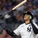 소토소토 이미지