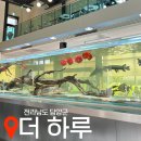 담양목장 | &lt;전라남도 담양군&gt; 아기랑 가볼만한 곳 , 대형 수족관 키네틱쇼 카페 “더하루”