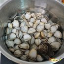 펜션별헤는밤2 | 태안여행 하비캠프펜션 갯벌해루질체험 깡통열차 ATV 가능한 존잼 숙소