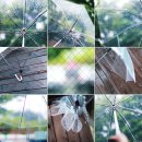 카페하라 이미지