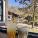 증안지길 | 블로그 맛집으로 유명한 증평 한옥카페 [이와카페] 여긴 베이커리 맛집이네! 내돈내산 찐후기