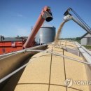 미중농장 이미지