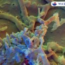 신발세탁 빨래방 이미지